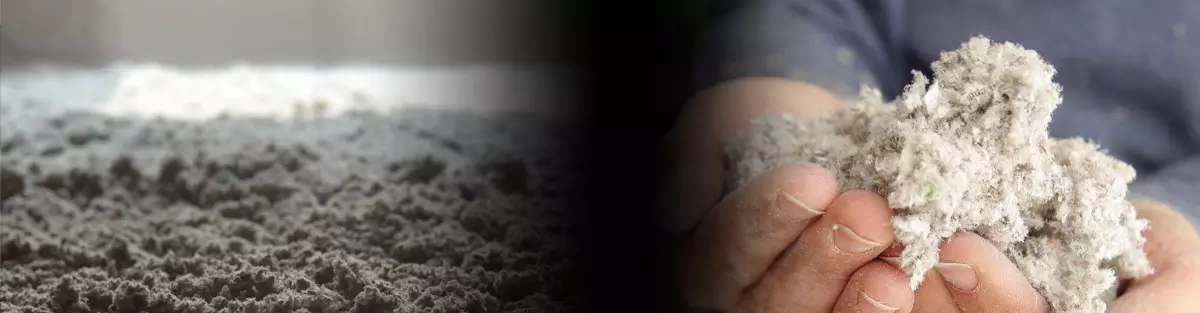 Cellulose isolante en vrac et dans les mains – solution écologique proposée par Isolation VIP à Québec et Lévis